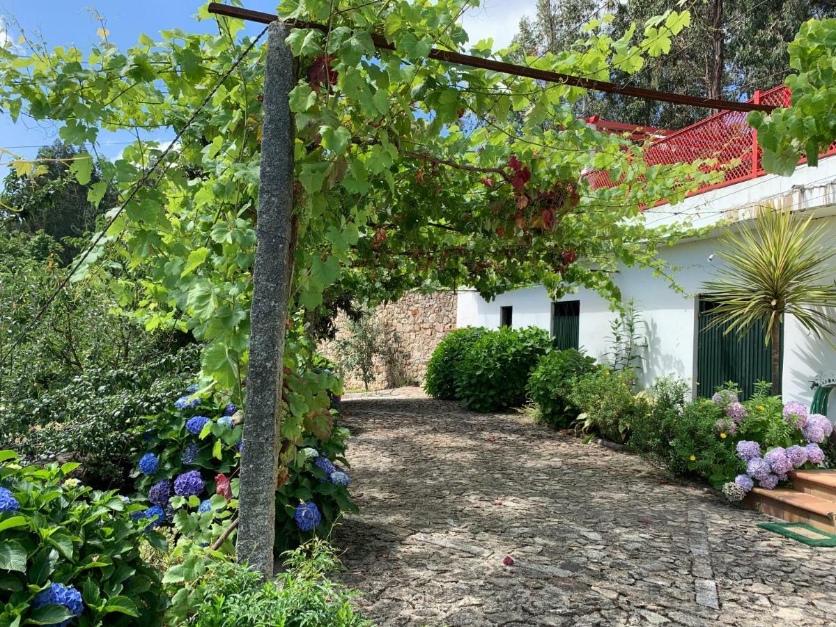 Vila Aurora Parada de Gatim Esterno foto